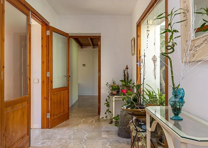 Esplai By Select * Pollensa